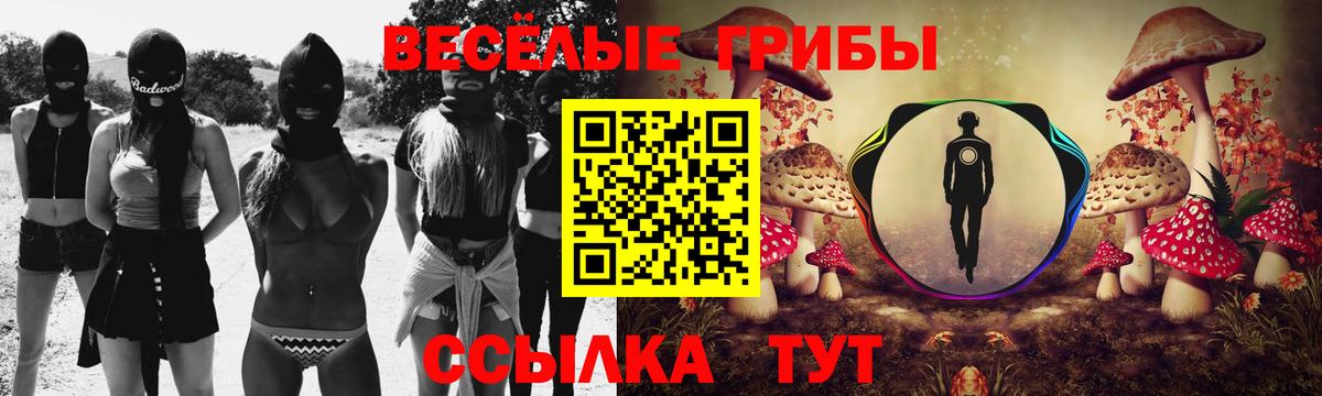 Галлюциногенные грибы GOLDEN TEACHER Калач-на-Дону